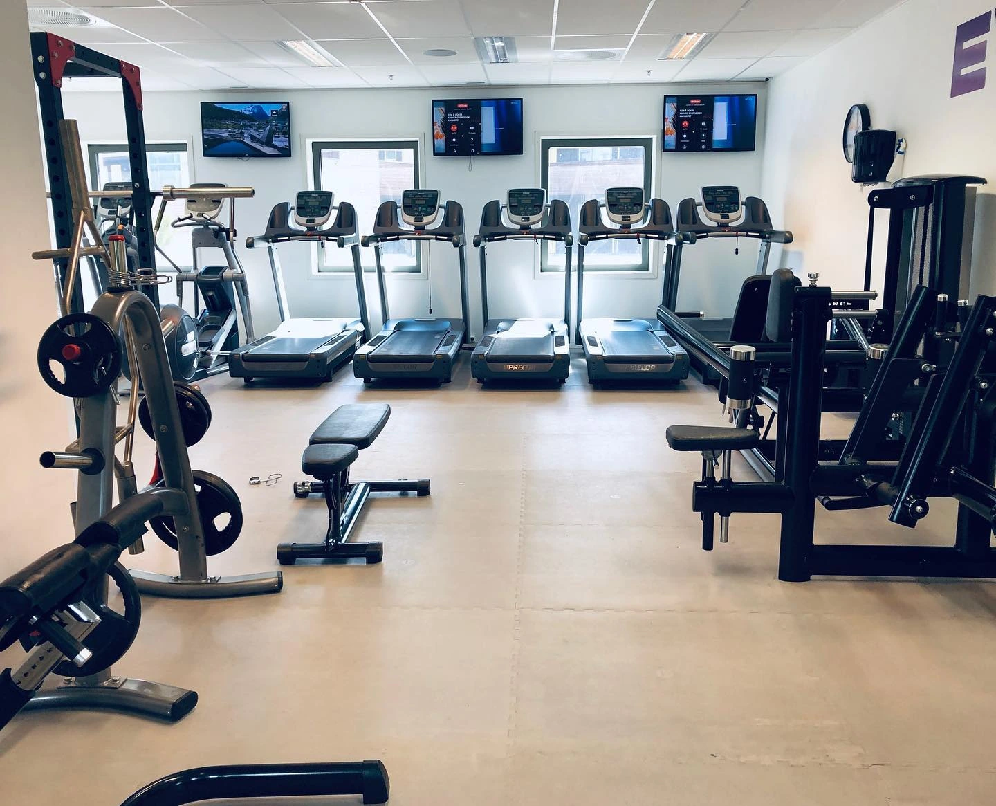 Cardio area at Everybody Gym & Fitness